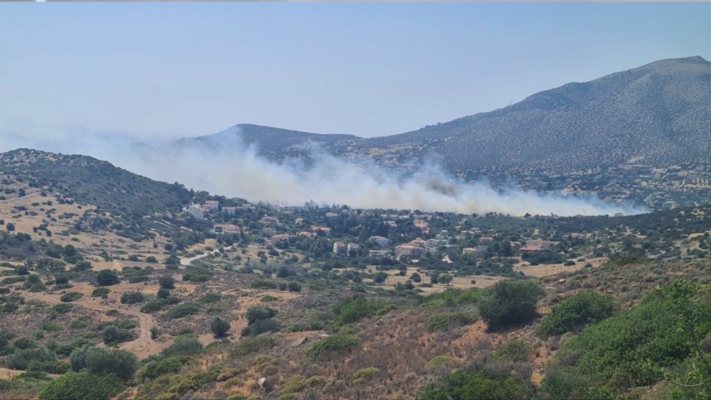 fotia-anavyssos-1