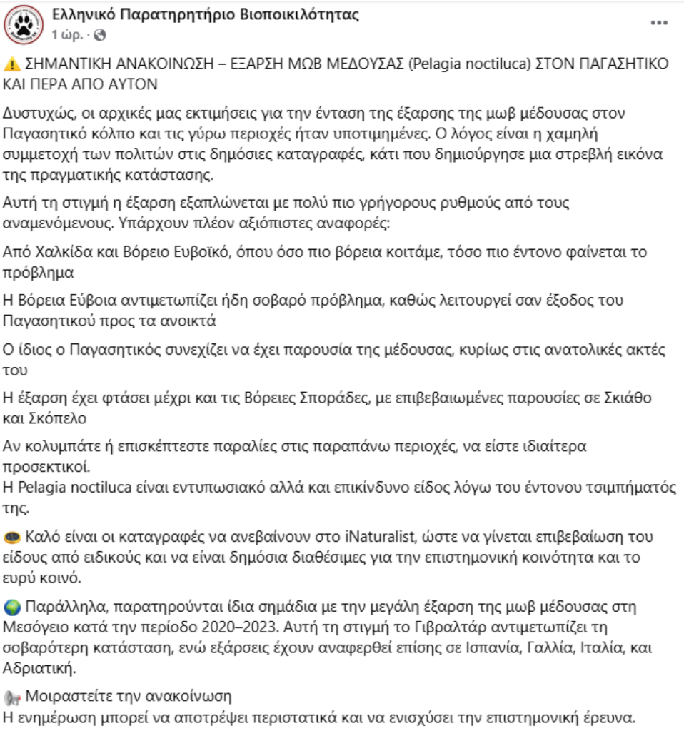 Έξαρση στις ελληνικές θάλασσες - Σε ποιες περιοχές εμφανίζονται 2 medouses