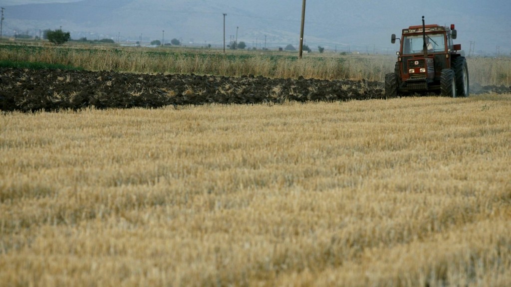 agrotes xorafia – new