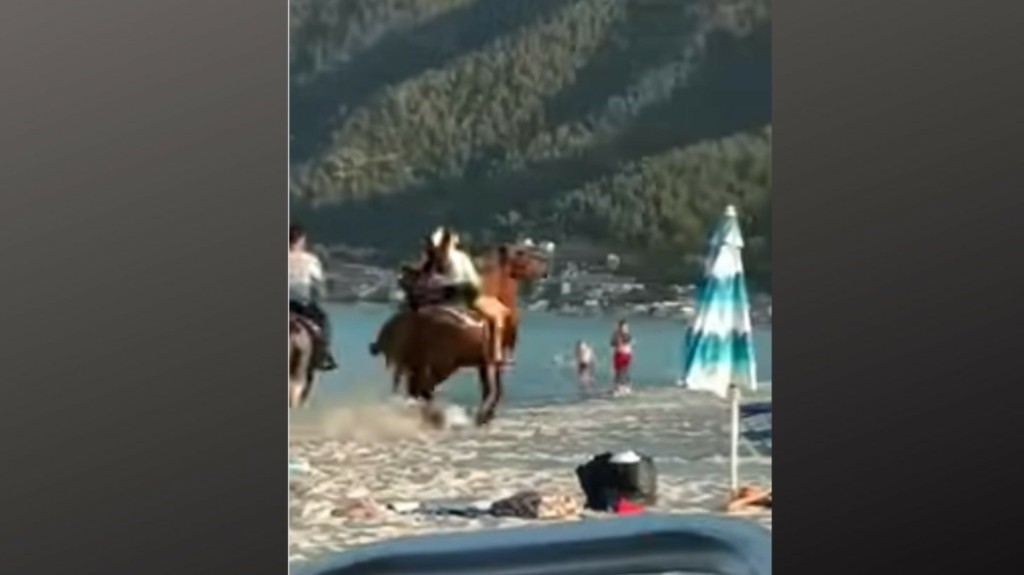 aloga thasos