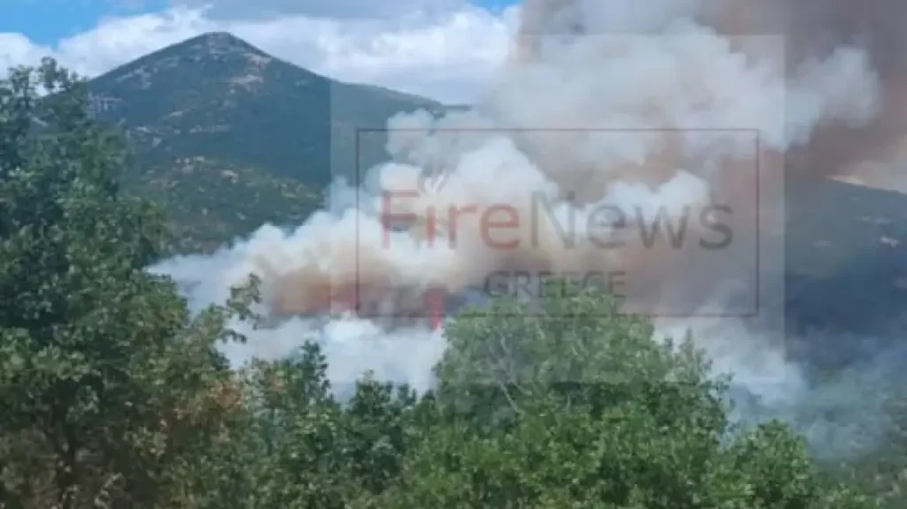 grevena-fotia-3345