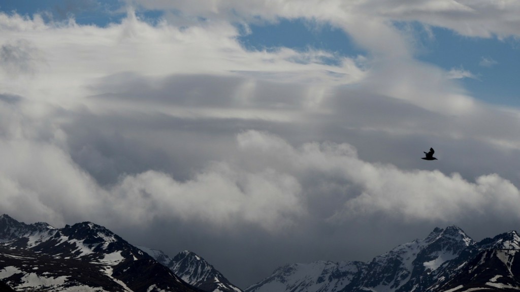alaska
