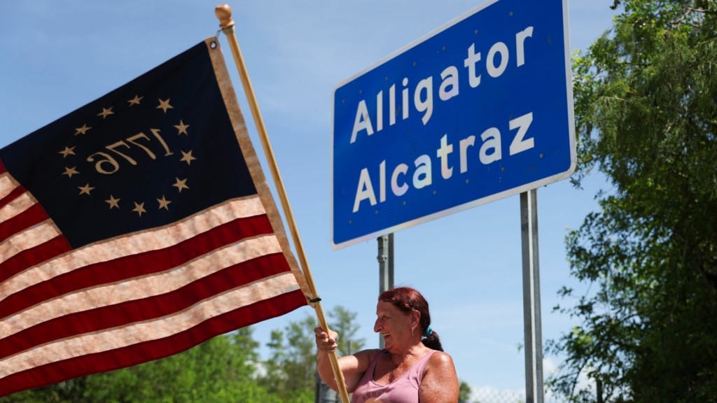 alligator new