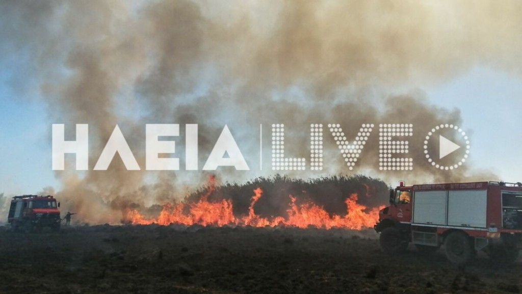 fotia-ileia-new