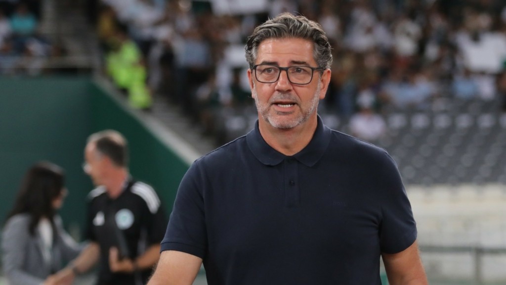 rui vittoria