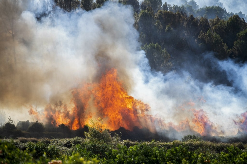 spain fire new