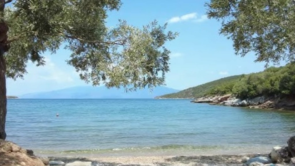 tzitzikia new