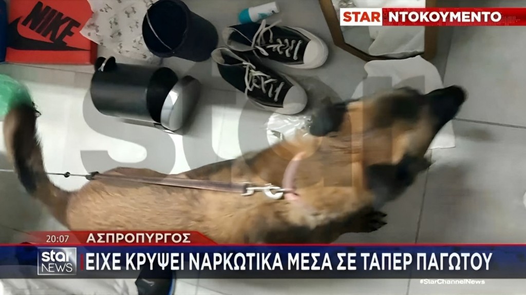 SKYLOS_NARKOTIKA