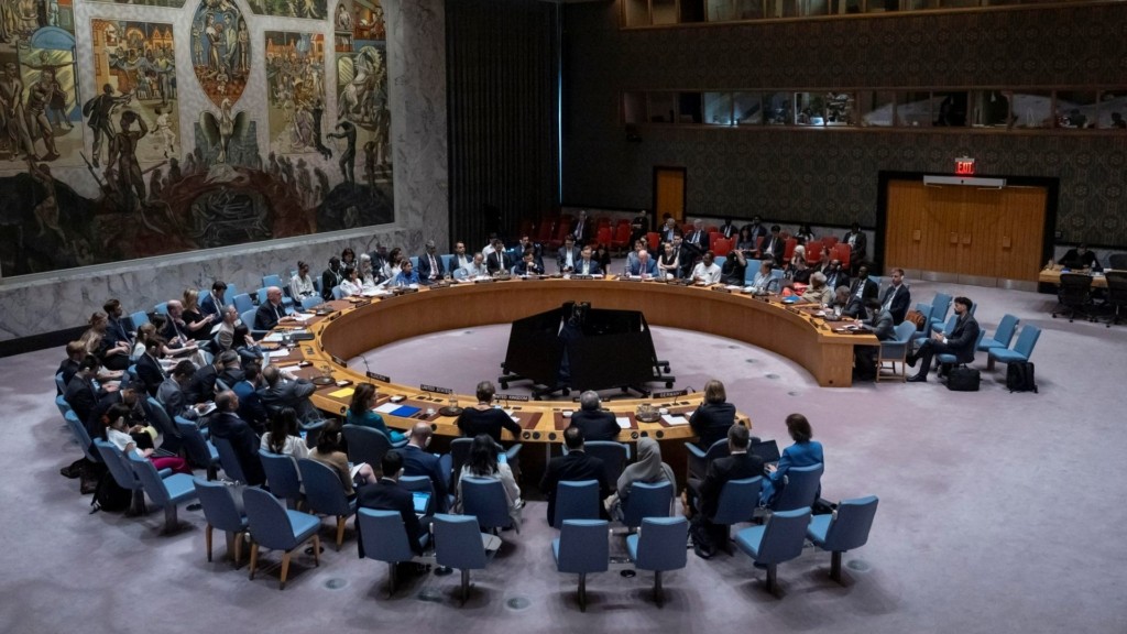 United Nations Security Council