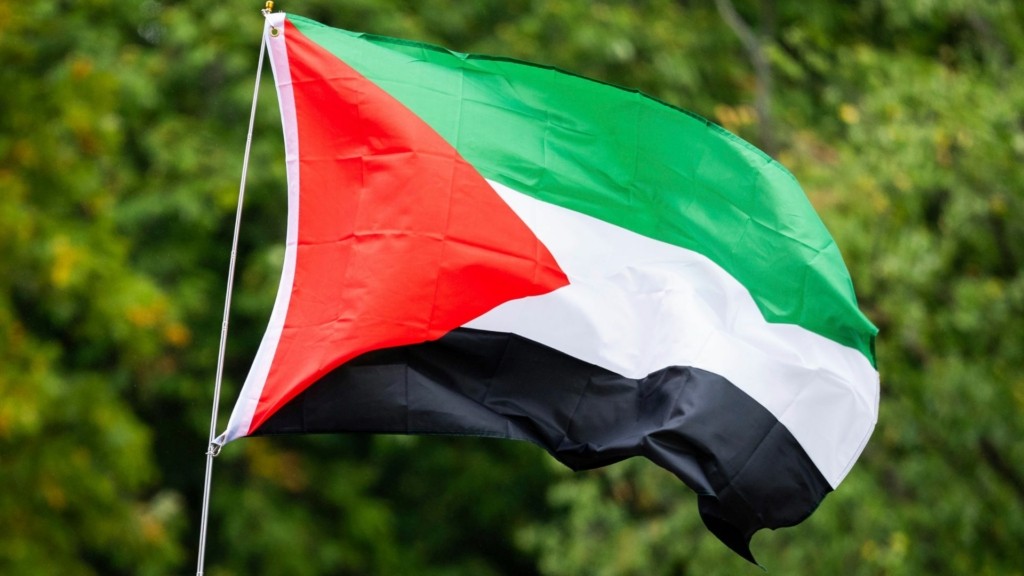 palestini simaia 88- new