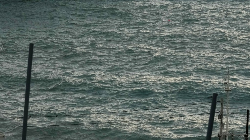tsunami_new