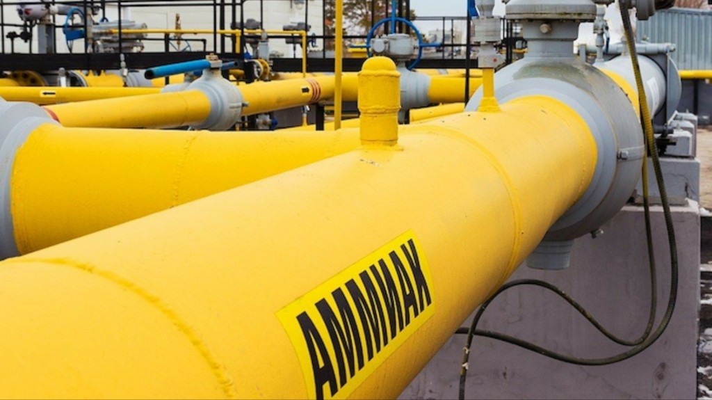 agogos ammonia