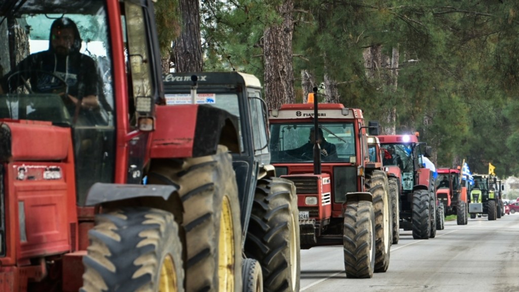 agrotes