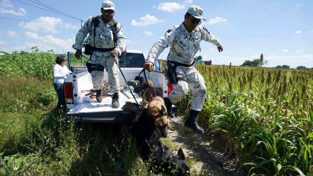 mexico_police_new