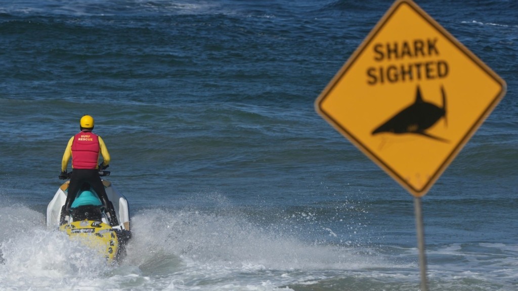 paralia karxaries 55- new