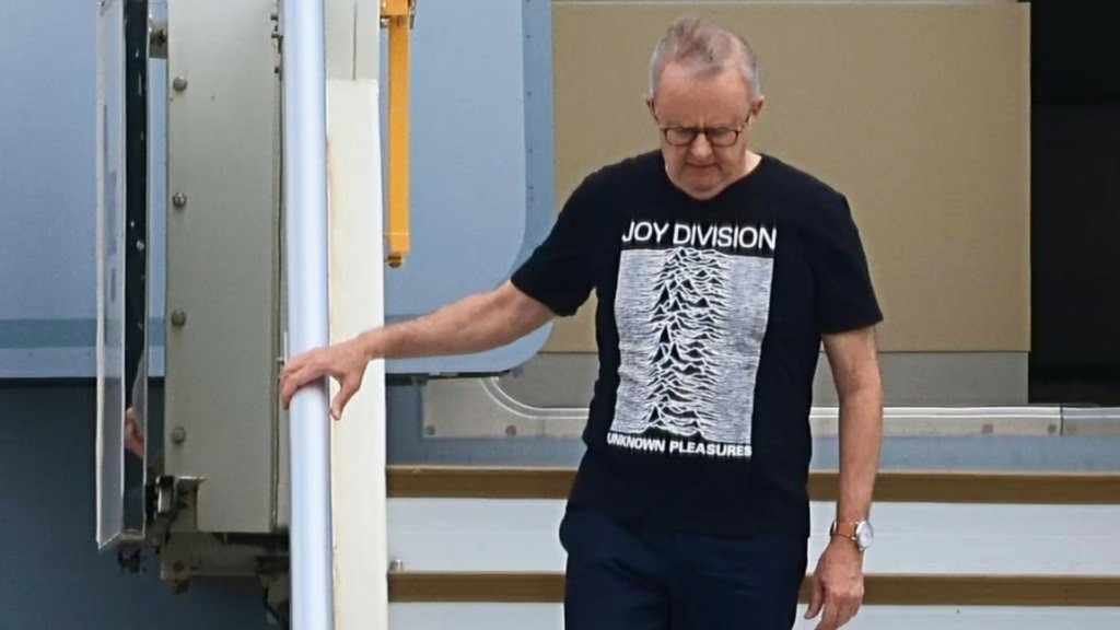 albaneze joy division