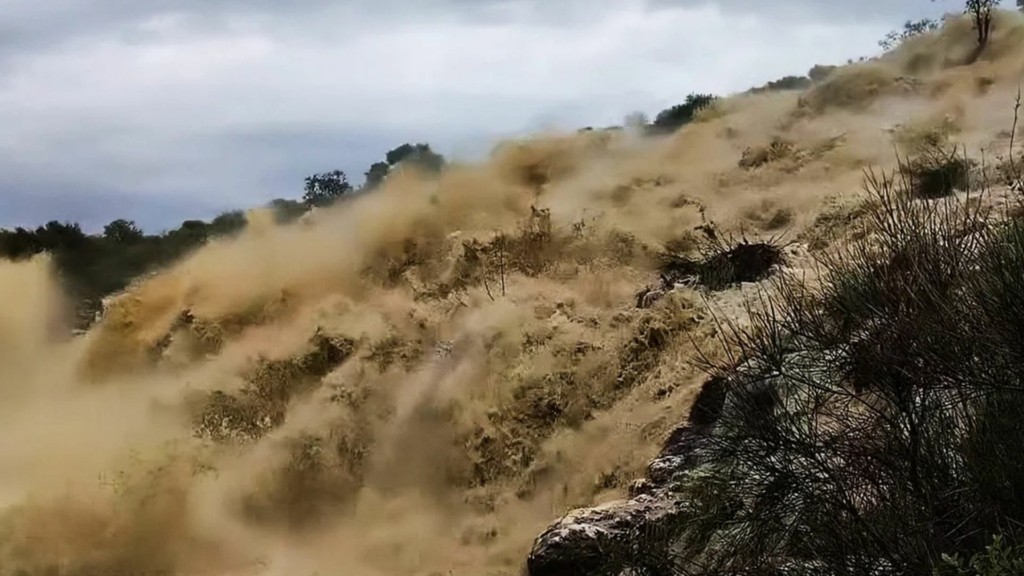 amfiloxia rema 88- new