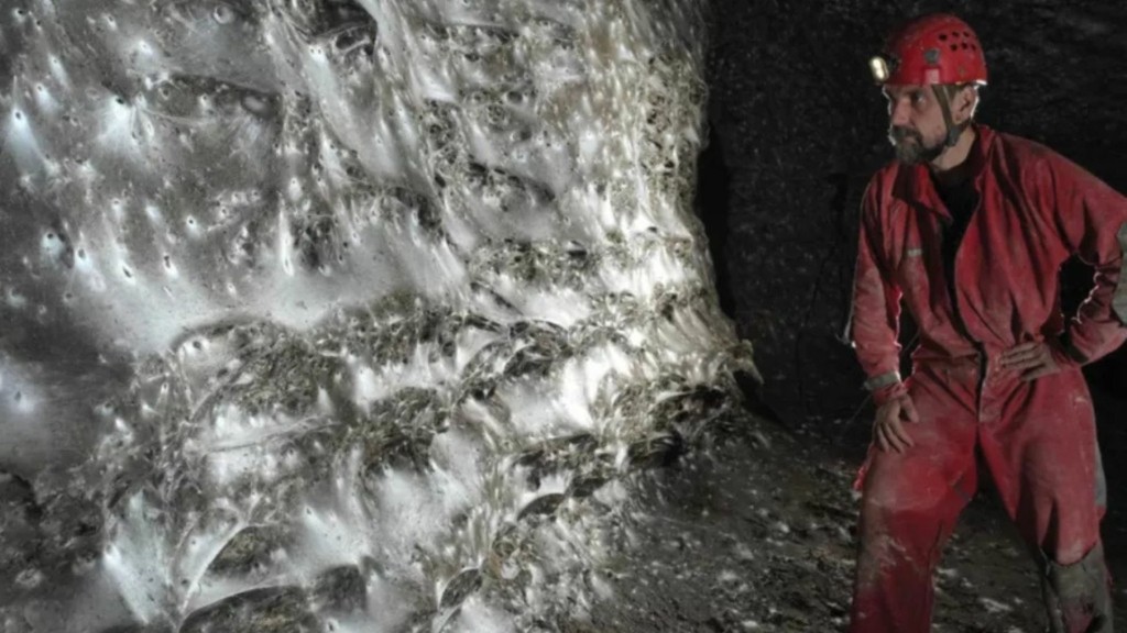 araxnes peplo 8887- new