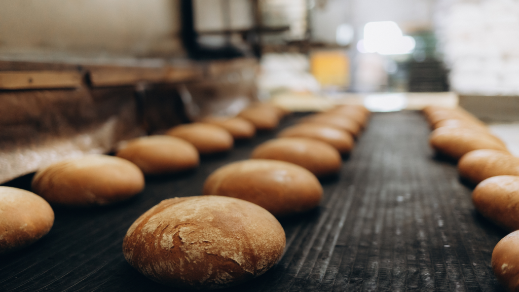 fournos_shutterstock