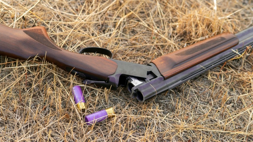 karabina_shutterstock