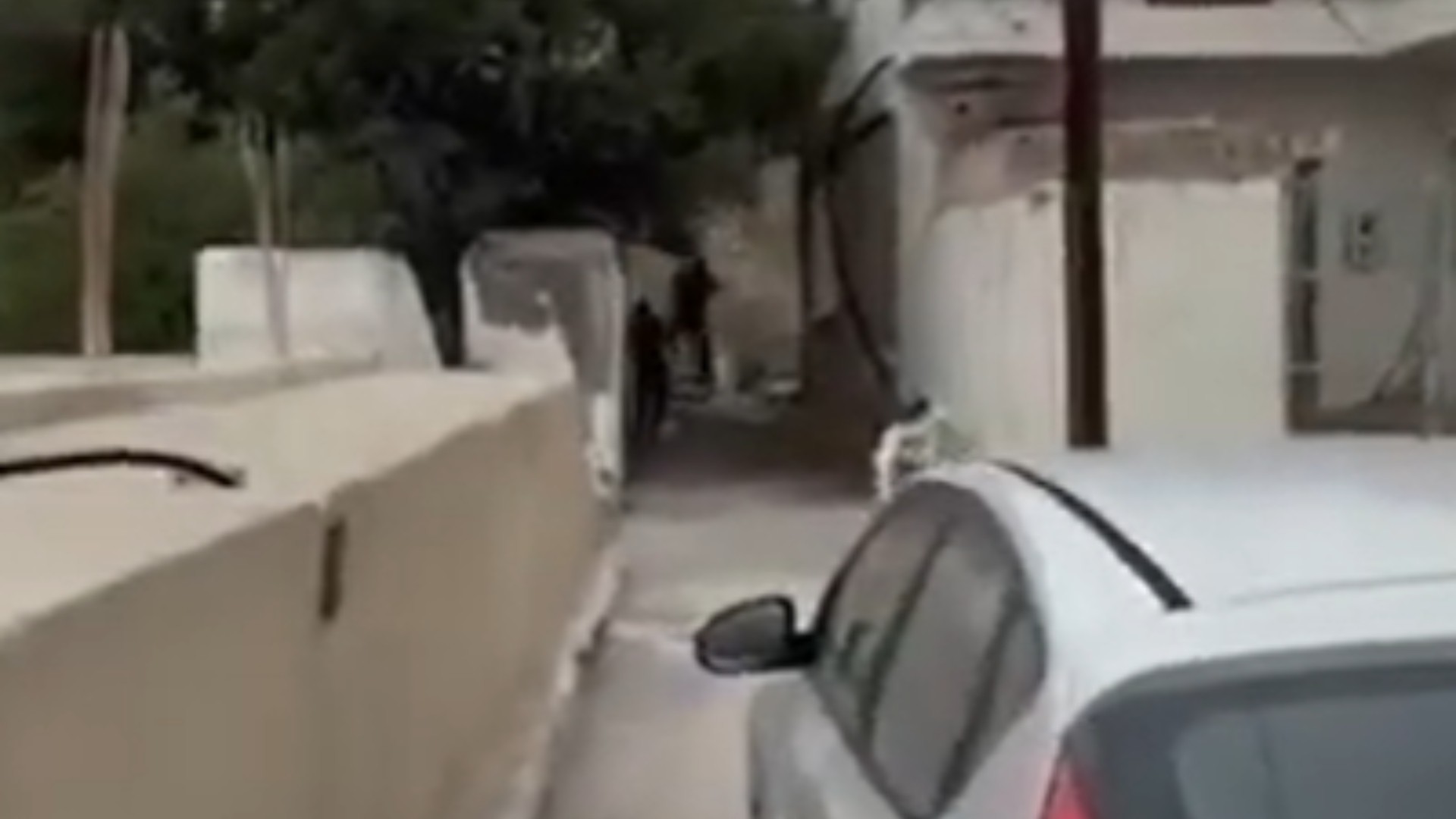 Μακελειό στα Βορίζια: Βίντεο-ντοκουμέντο με τον γαμπρό του Καργάκη να πυροβολεί με καλάσνικοφ