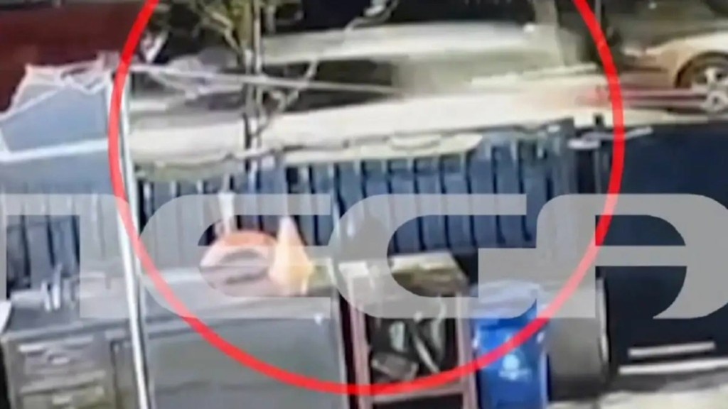 katadioxi gios politikoy – new