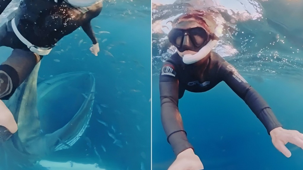 norway_falaina_1011_1920-1080_new