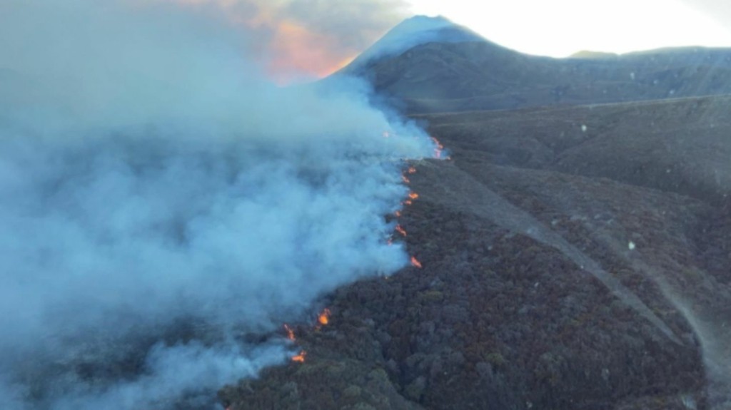 Photo: Fire and Emergency NZ