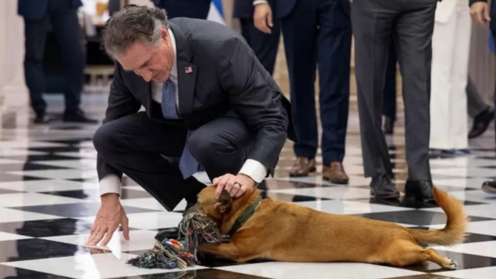 pinat ypes ipa – new