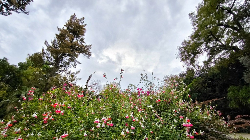 vroxi_kairos_0711_1920-1080_new