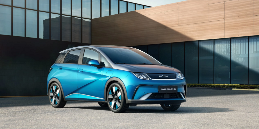 Dolphin-safety-01-xl