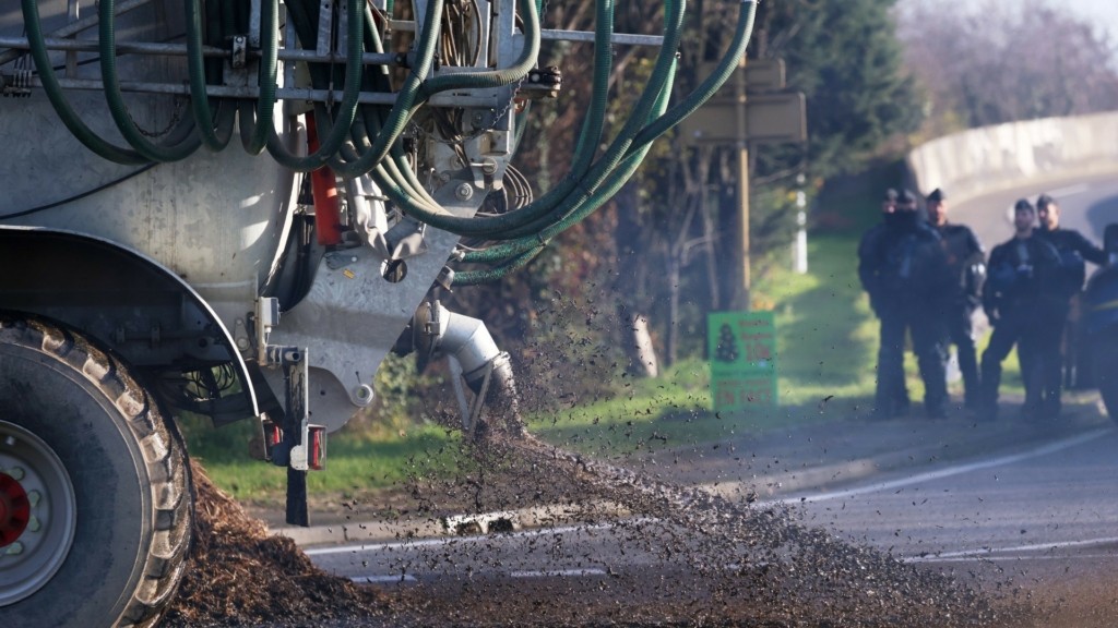 agrotes gallia kopria