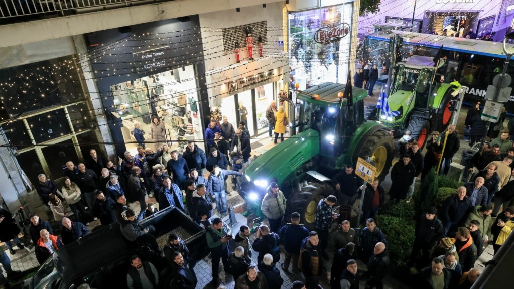 agrotes-larisa-235425