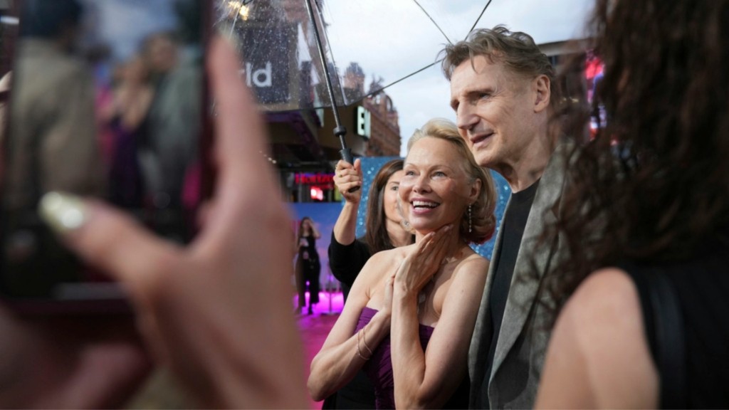 anderson – neeson 99- new