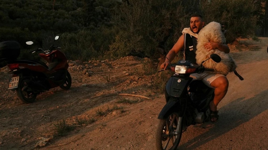 ap-kalyteres-photo-2025-8-upscaled