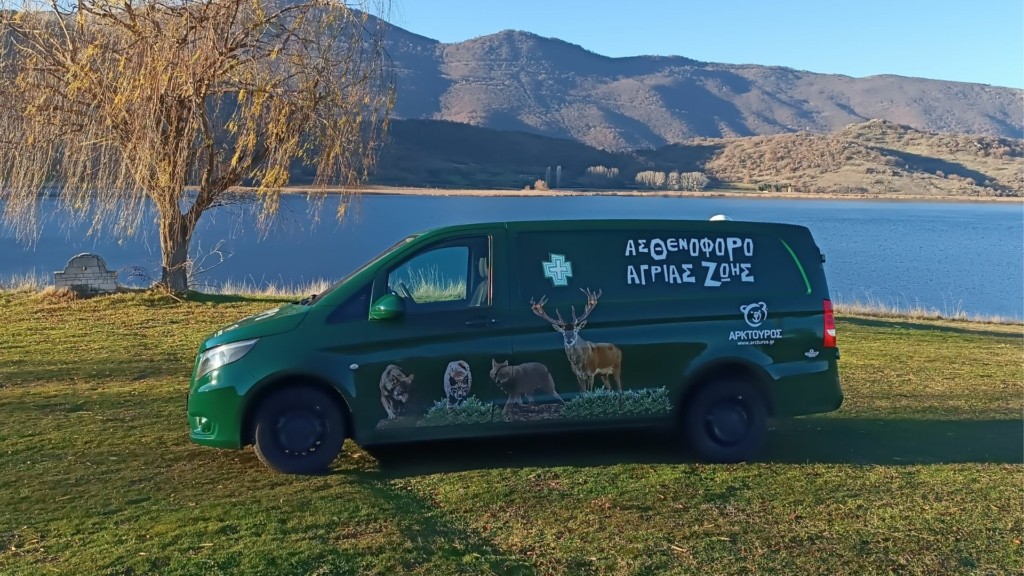 arktouros-asthenoforo-zwwn-1