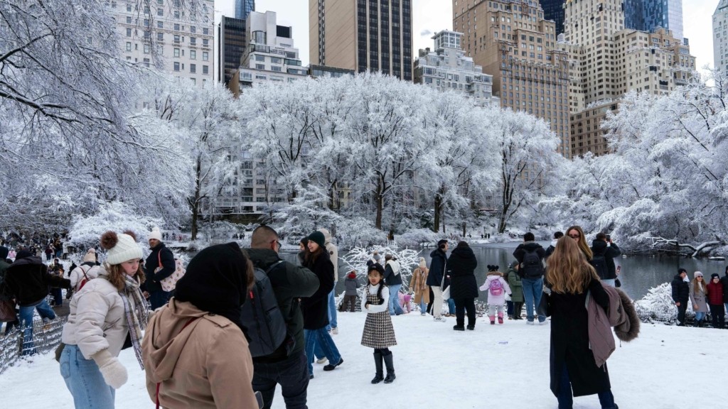 central park xioni 12- new