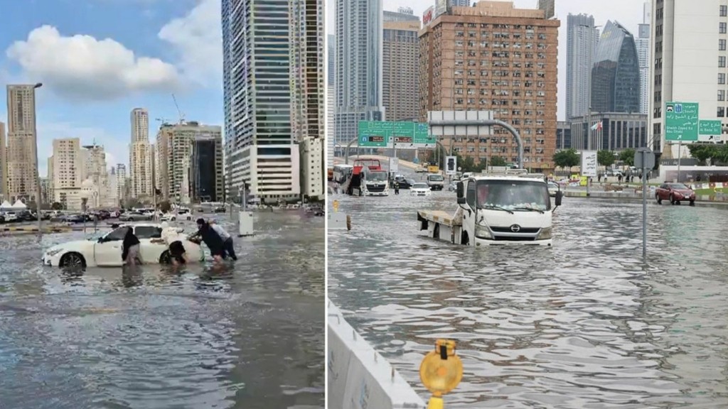 dubai plimmira – new