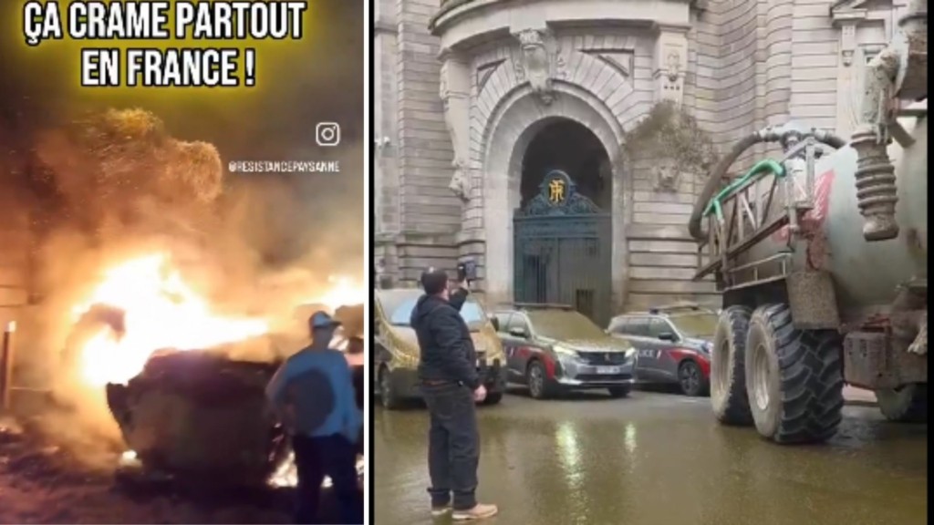 gallia agrotes mploka 88- new