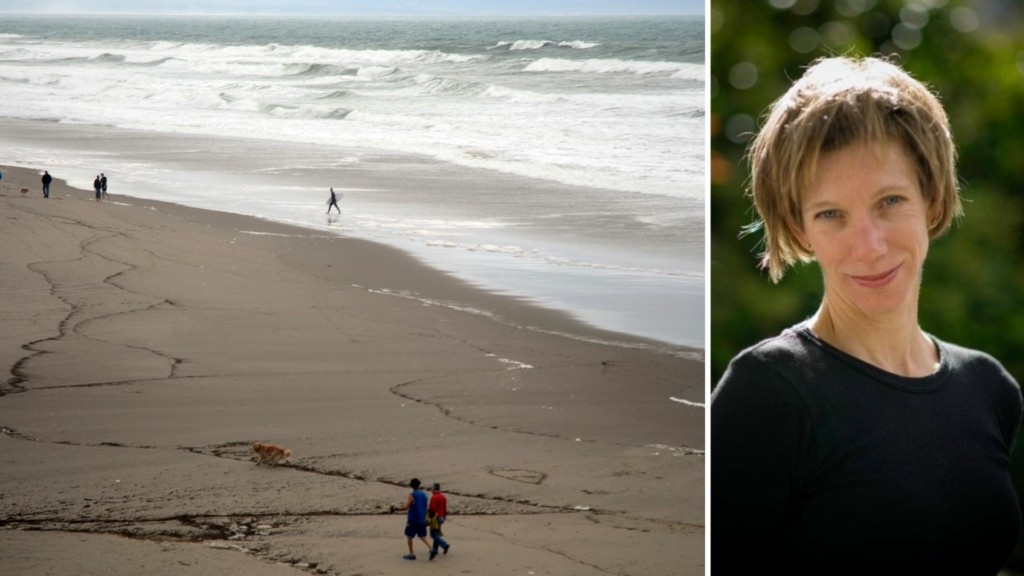 kalifornia – epithesi karxaria – new