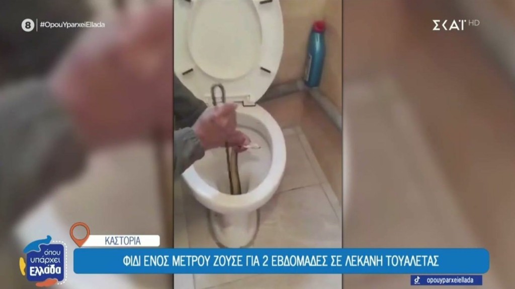 kastoria_fidi_toualeta