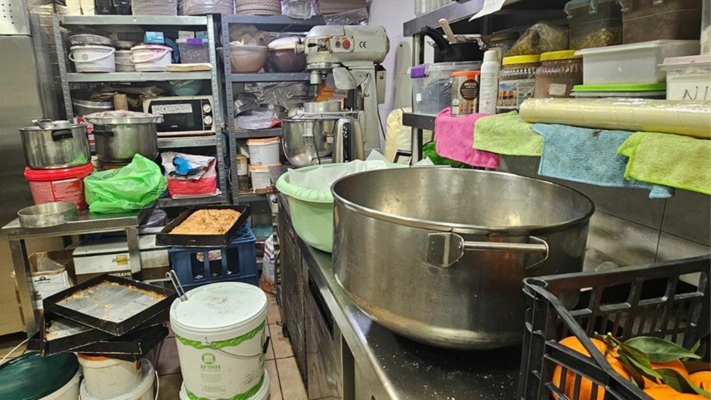 perifereia-attikis-elegxoi-trofima-10