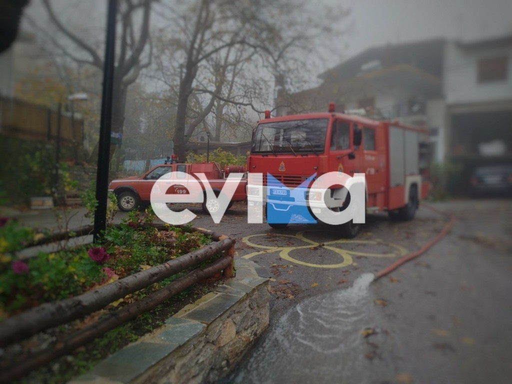 pirosvestiki-evoia-plimires