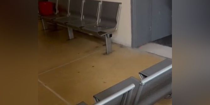 plimires-panepistimio