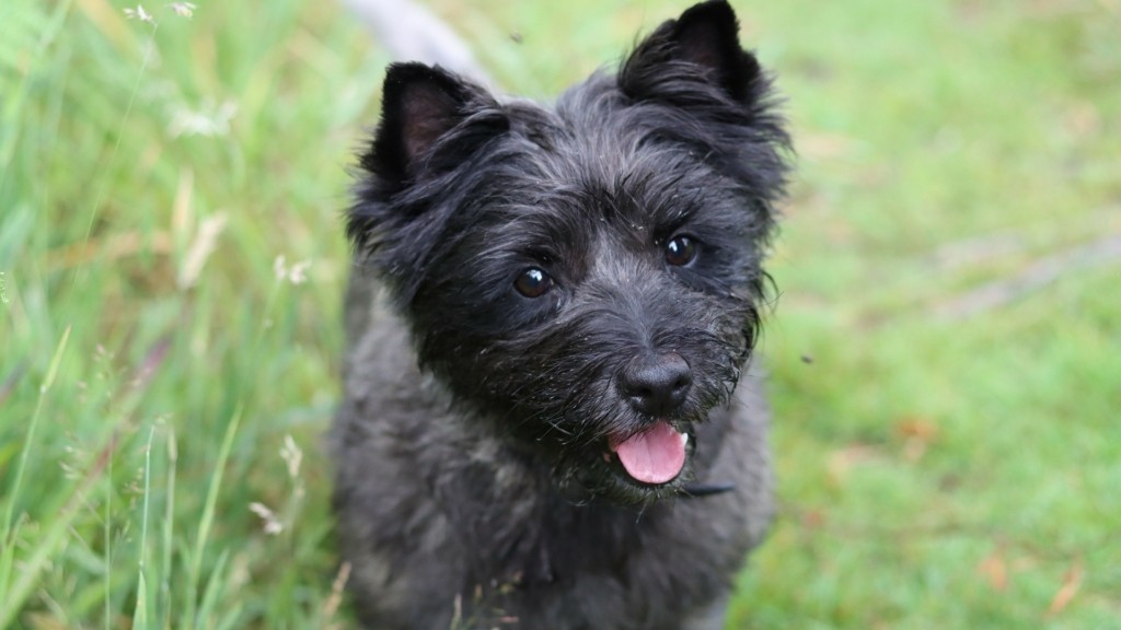 skylos_1112_1920-1080_new