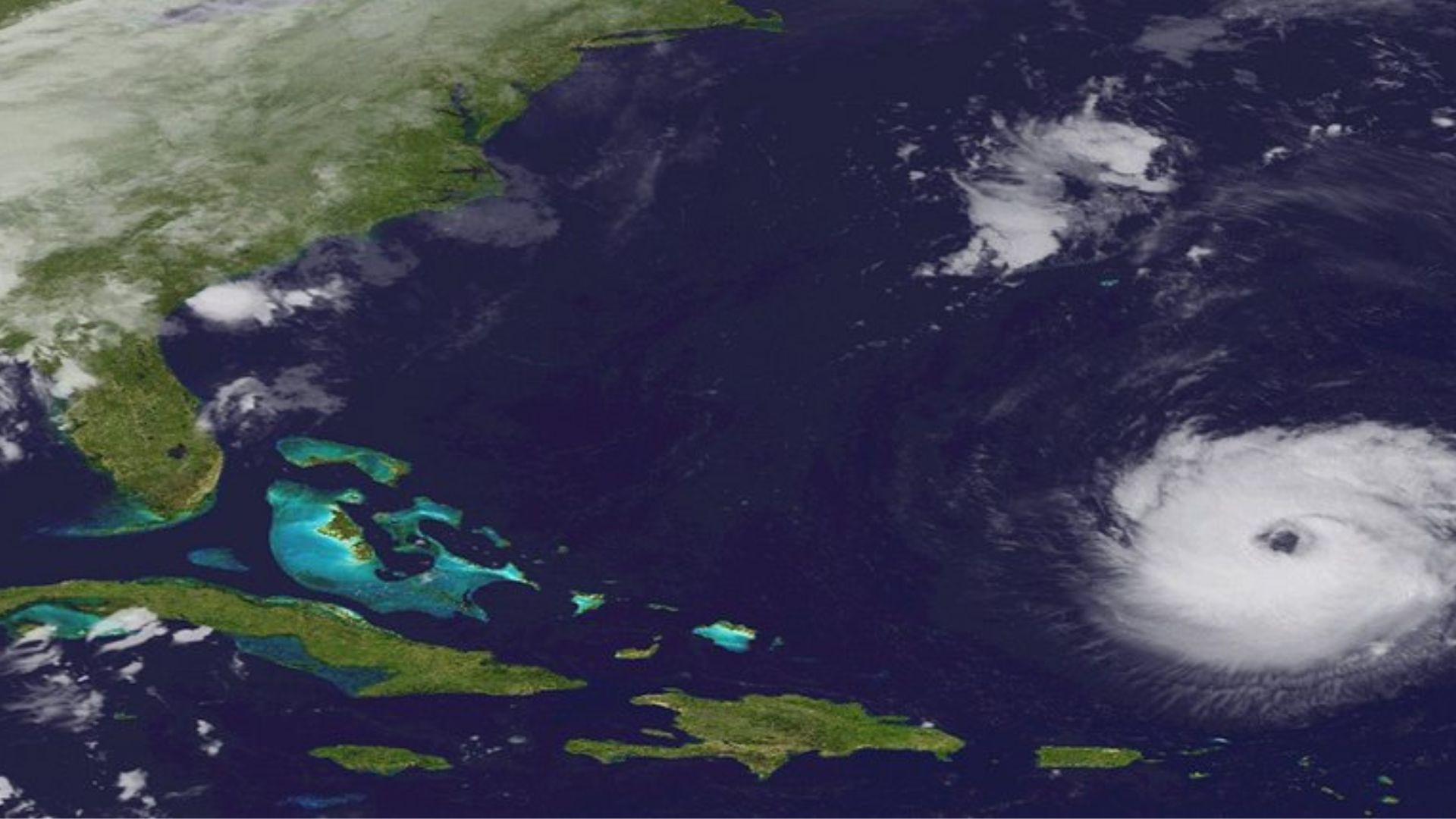 Η Πίνα Μπάους «ζητά» από 23 Έλληνες ερμηνευτές να είναι ο εαυτός τους