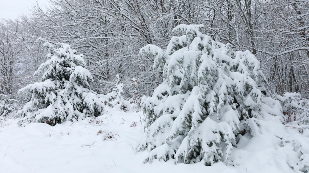 xionia_kentrikimakedonia