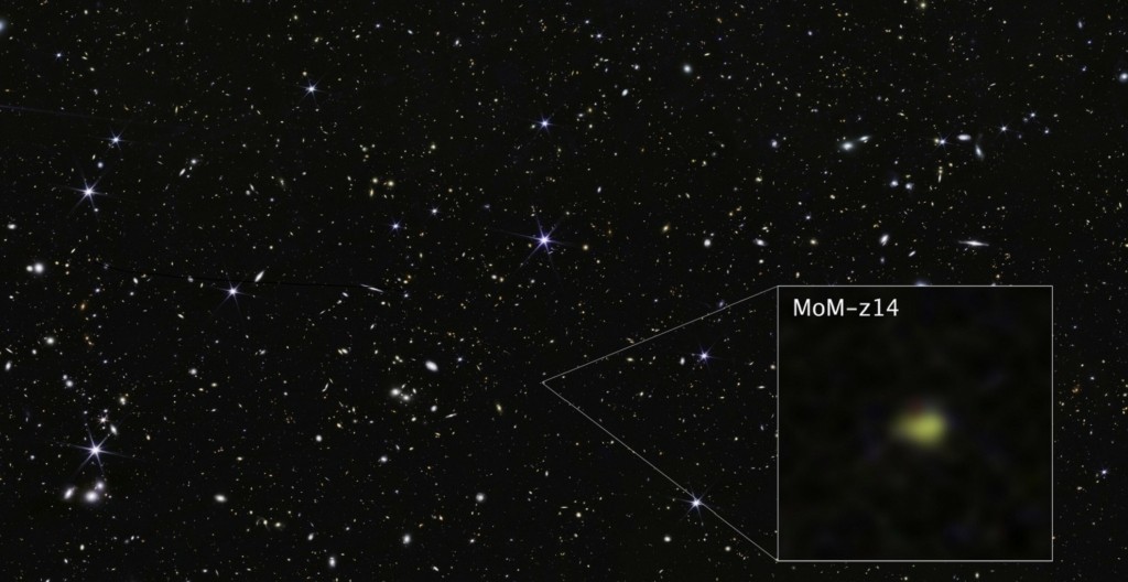 MoM-z14
