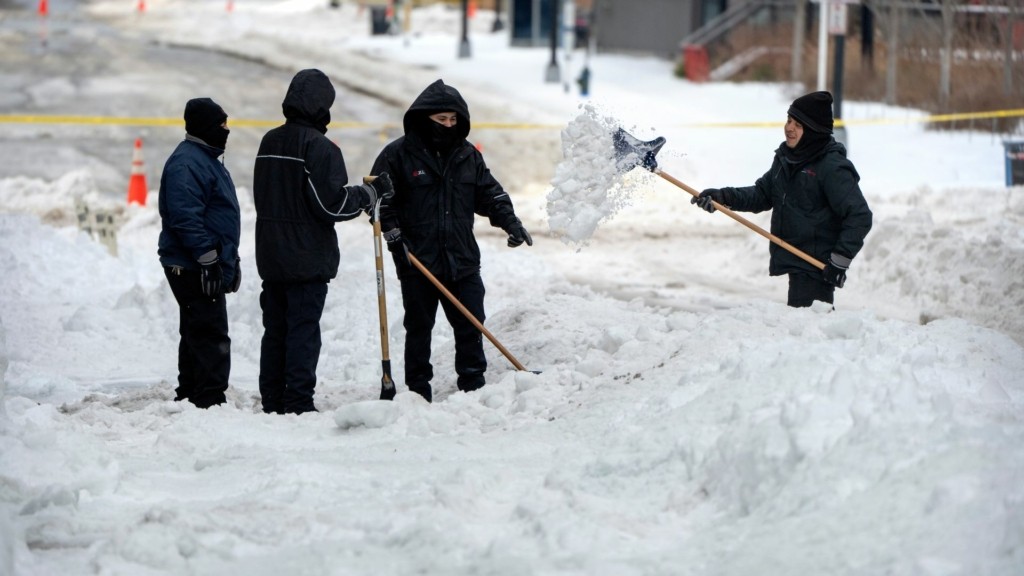 kakokairia ipa 8876- new