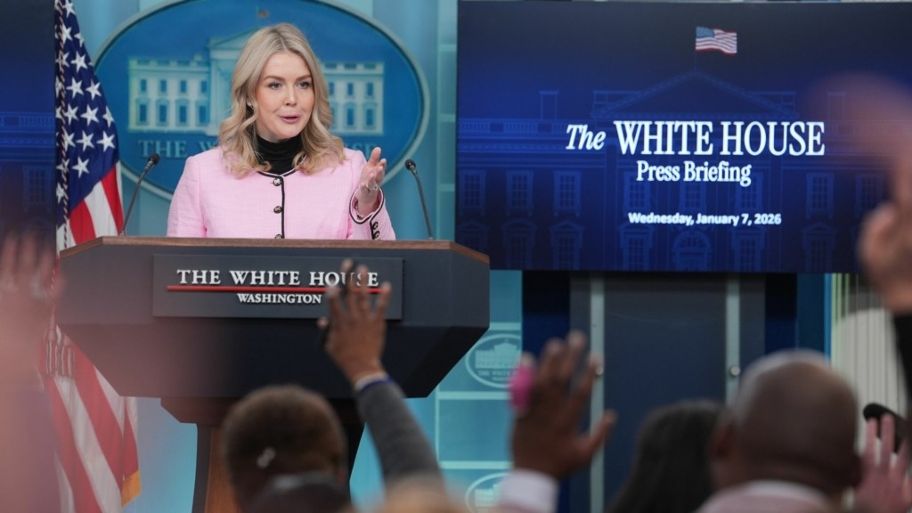 lewwit lefkos oikos 88- new